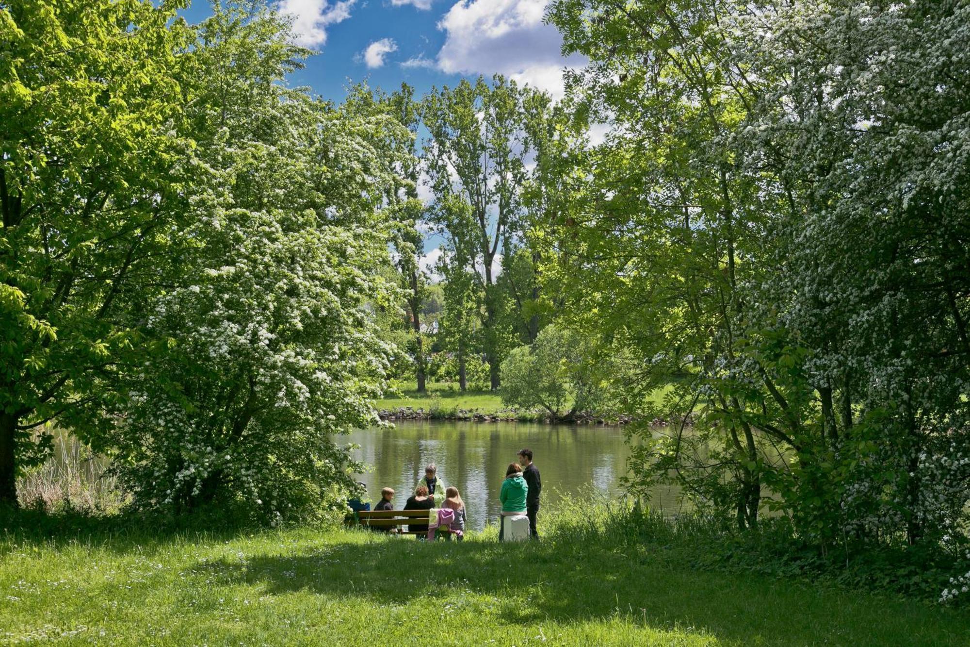 Knaus Campingpark Frickenhausen Фриккенхаузен-ам-Майн Экстерьер фото