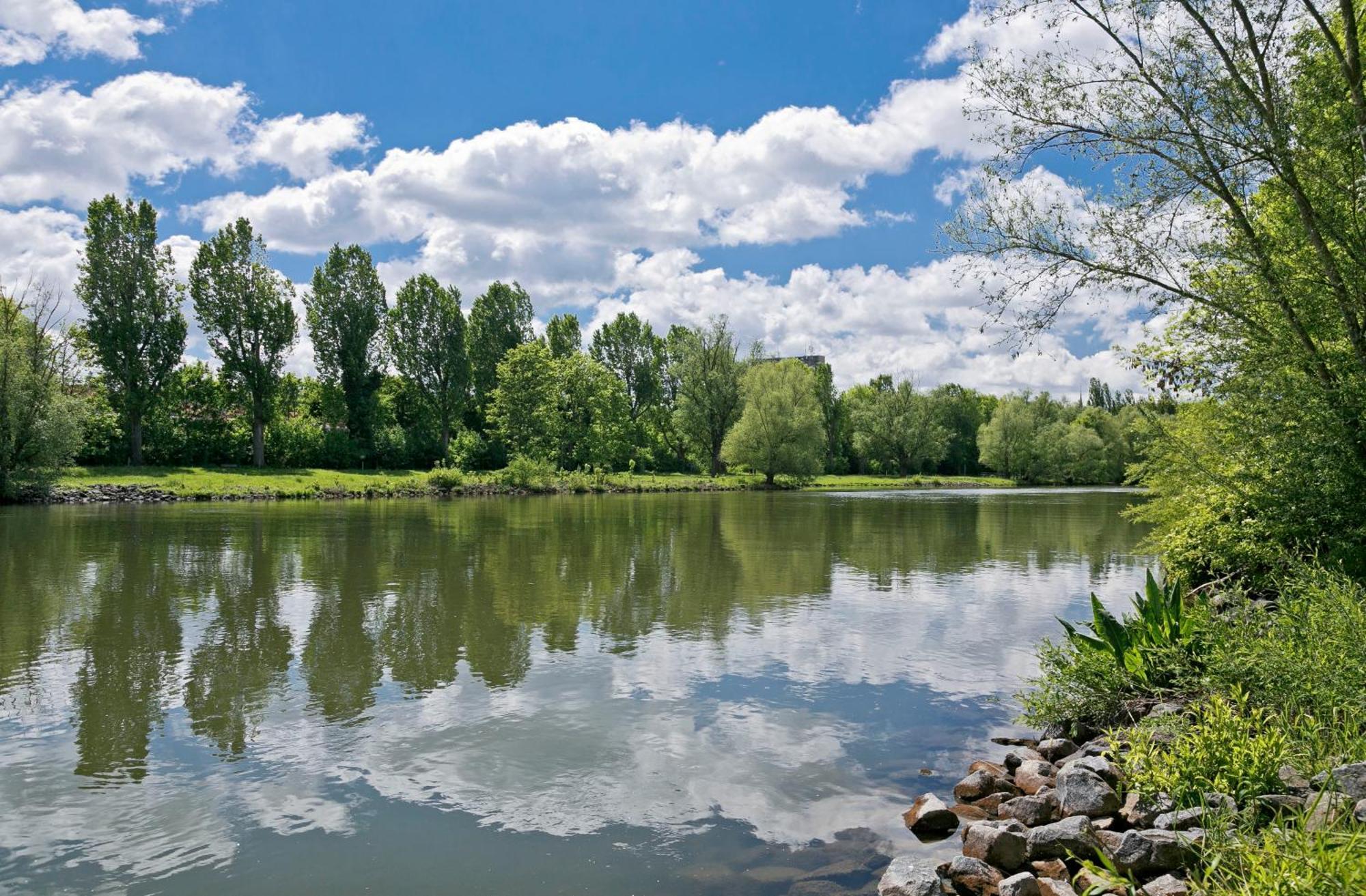 Knaus Campingpark Frickenhausen Фриккенхаузен-ам-Майн Экстерьер фото